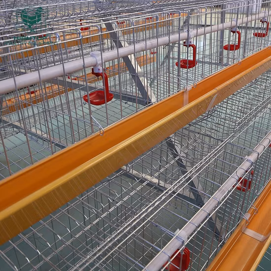 販売用ニップルドリンカー付き3層Q235低炭素鋼線家禽層鶏ケージ